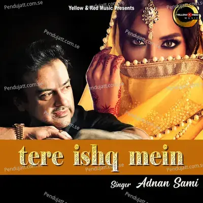 Tere Ishq Mein - Adnan Sami album cover 