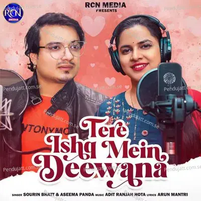 Tere Ishq Mein Deewana - Sourin Bhatt album cover 