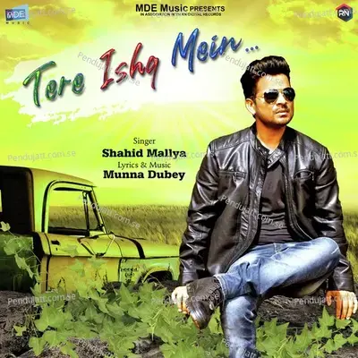 Tere Ishq Mein - Shahid Mallya album cover 