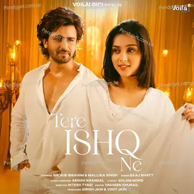 Tere Ishq Ne - Saaj Bhatt album cover 