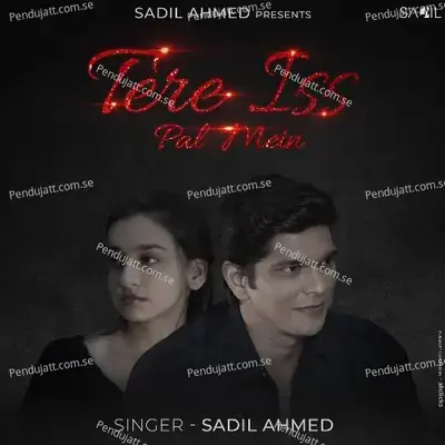 Tere Iss Pal Mein - Sadil Ahmed album cover 