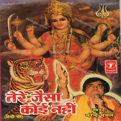 Tere Hi Gun Gaate Rahenge - Surender Kohli album cover 