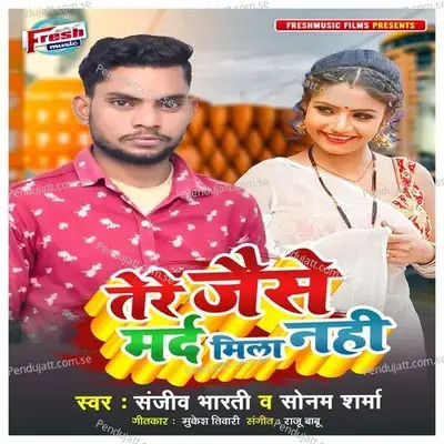 Tere Jaisa Marad Mila Nahi - Sanjeev Bharti album cover 