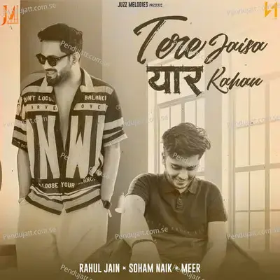 Tere Jaisa Yaar Kahan - Rahul Jain album cover 