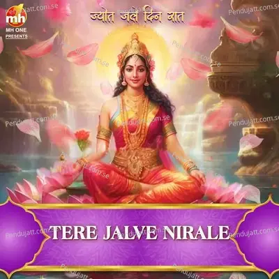 Tere Jalve Nirale - Vipin Sachdeva album cover 