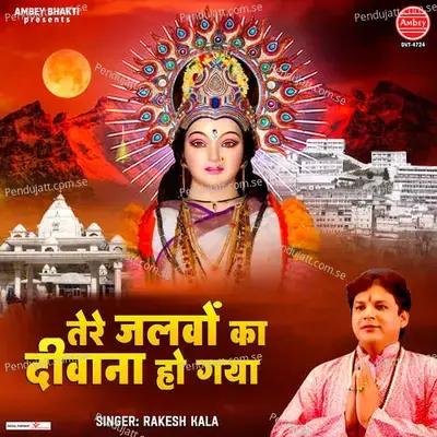Tere Jalwo Ka Diwana Ho Gaya - Rakesh Kala album cover 