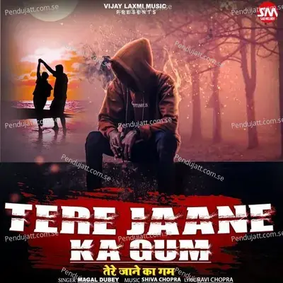 Tere Jane Ka Gham - Mangal Dubey album cover 