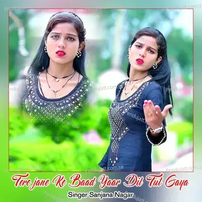 Tere Jane Ke Baad Yaar Dil Tut Gaya - Sanjana Nagar album cover 