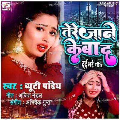 Tere Jane Ke Bad - Beauty Pandey album cover 