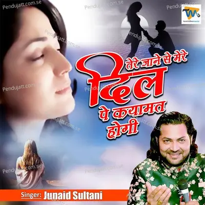 Tere Jane Se Mere Dil Pe Kayamat Hogi - Junaid Sultani album cover 