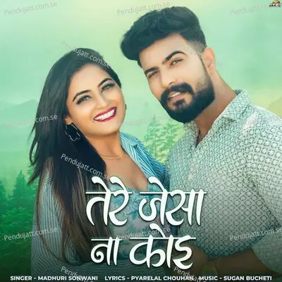 Tere Jesa Naa Koi - Madhuri Sonwani album cover 