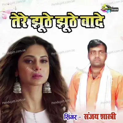 Tere Jhuthe Jhuthe Wade - Sanjay Shastri album cover 