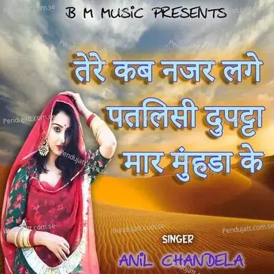 Tere Kab Nazar Lage Patlisi Dupatta Mar Munda K - Anil Chandela album cover 