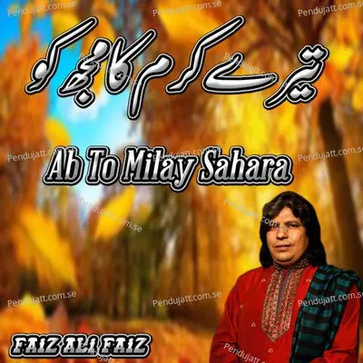 Tere Karam Ka Mujh Ko Ab To Milay Sahara - Faiz Ali Faiz album cover 