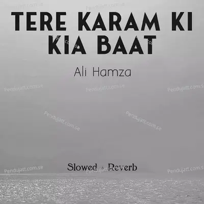 Tere Karam Ki Kia Baat Lofi - Ali Hamza album cover 