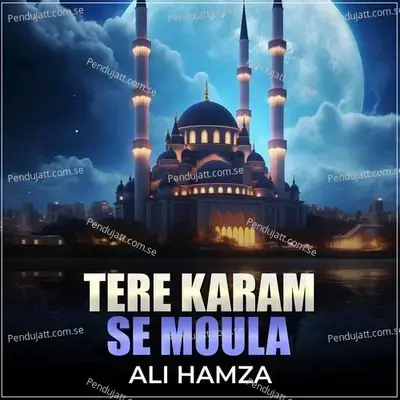 Tere Karam Se Moula - Ali Hamza album cover 