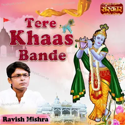 Tere Khaas Bande - Ravish Mishra album cover 