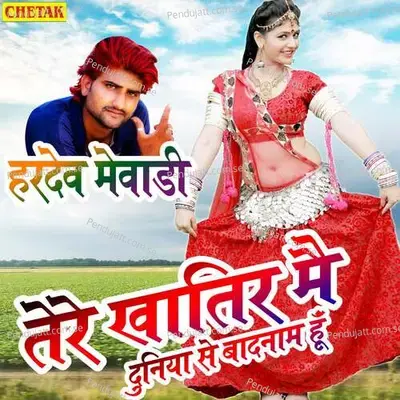 Tere Khatir Mai Duniya Se Badanaam Hu - Hardev Mewadi album cover 