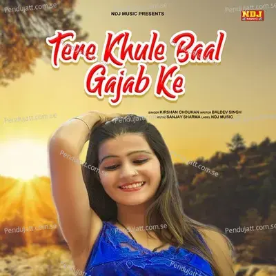 Tere Khule Baal Gajab Ke - Kirshan Chouhan album cover 