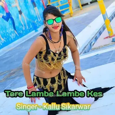Tere Lambe Lambe Kes - Kallu Sikarwar album cover 