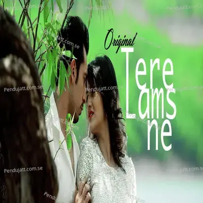 Tere Lams Ne - Mohammed Irfan album cover 