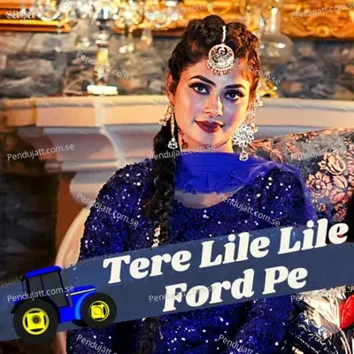 Tere Lile Lile Ford Pe Likha Jamidar - Aamin Barodi album cover 