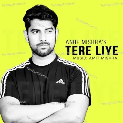 Tere Liye - Anup Mishra album cover 