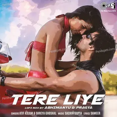 Tere Liye (Lofi Mix) - Atif Aslam