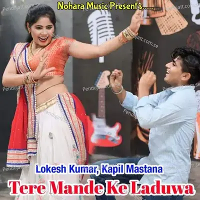 Tere Mande Ke Laduwa - Lokesh Kumar album cover 