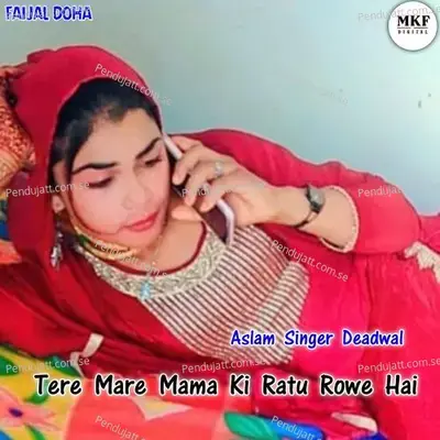 Tere Mare Mama Ki Ratu Rowe Hai - Aslam Singer Deadwal album cover 