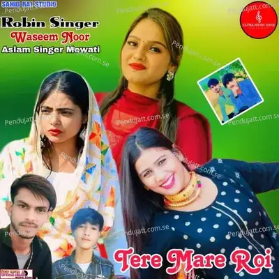 Tere Mare Roi - Robin Singer album cover 