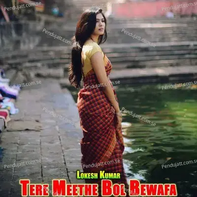 Tere Meethe Bol Bewafa - Lokesh Kumar album cover 