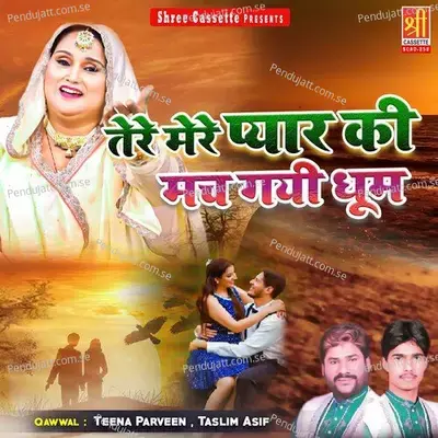 Tere Mere Pyar Ki Mach Gayi Bhoom - Teena Parveen cover album