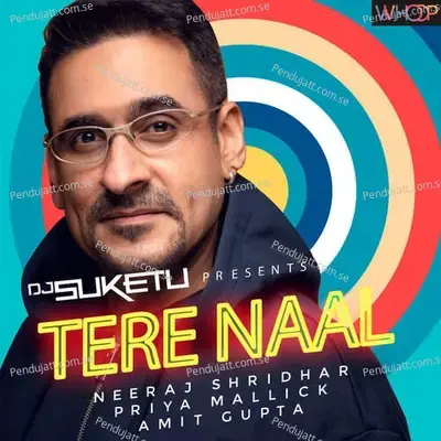 Tere Naal - DJ Suketu album cover 