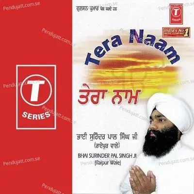 Tera Naam - Bhai Surinder Pal Singh-Raipur Wale album cover 