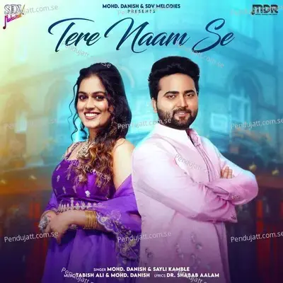 Tere Naam Se - Mohd. Danish album cover 