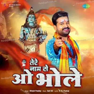 Tere Naam Se O Bhole - Ritesh Pandey album cover 
