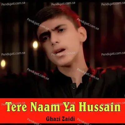 Tere Naam Ya Hussain - Ghazi Zaidi album cover 