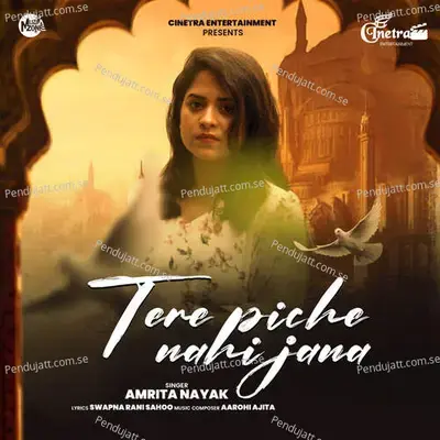 Tere Piche Nahi Jana - Amrita Nayak album cover 