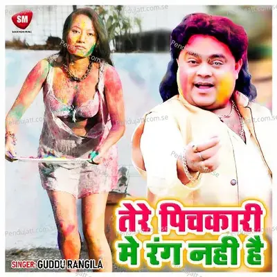 Tere Pichkari Me Rang Nahi Hai - Guddu Rangila album cover 