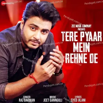 Tere Pyaar Mein Rehne De - Raj Barman album cover 