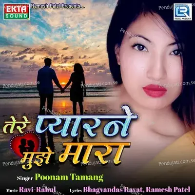 Tere Pyaarne Mujhe Mara - Poonam Tamang album cover 