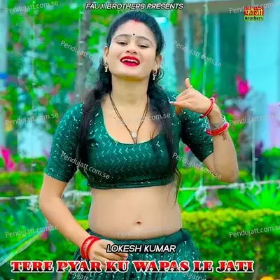 Tere Pyar Ku Wapas Le Jati - Lokesh Kumar