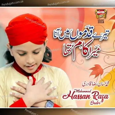 Tere Qadmo Mai - Muhammad Hassan Raza Qadri album cover 