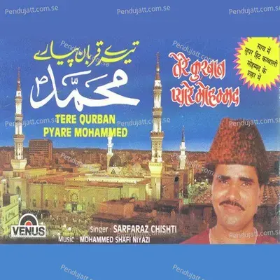 Mohammed Ke Shaher Mein - Mohammad Tufail Niazi album cover 