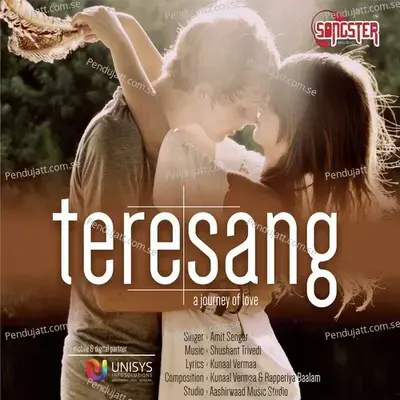 Tere Sang - Amit Sengar album cover 