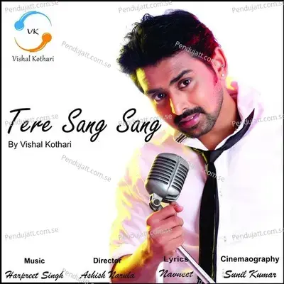 Tere Sang Sang - Vishal Kothari album cover 