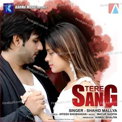 Tere Sang - Shahid Mallya