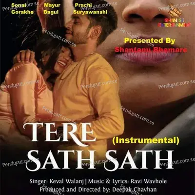 Tere Sath Sath  Instrumental  - Ravi Wavhole