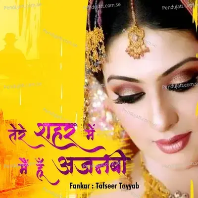 Tere Shahar Me Main Hoon Ajnabi - Tafseer Tayyab